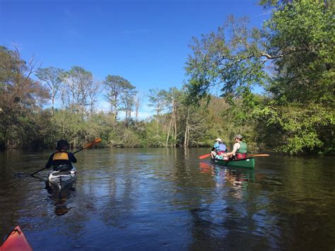 Edisto River: Edisto River Canoe and Kayak Trail