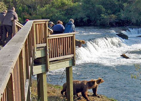 Katmai National Park Bear Viewing with overnight in King Salmon ...