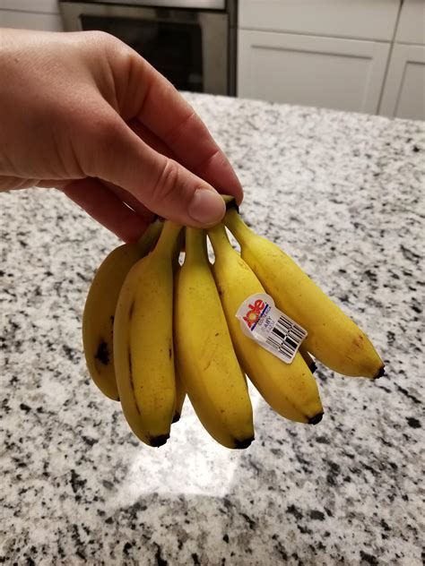 This tiny bunch of bananas : r/mildlyinteresting