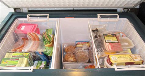 Freezing Food Preservation - FMT Magazine