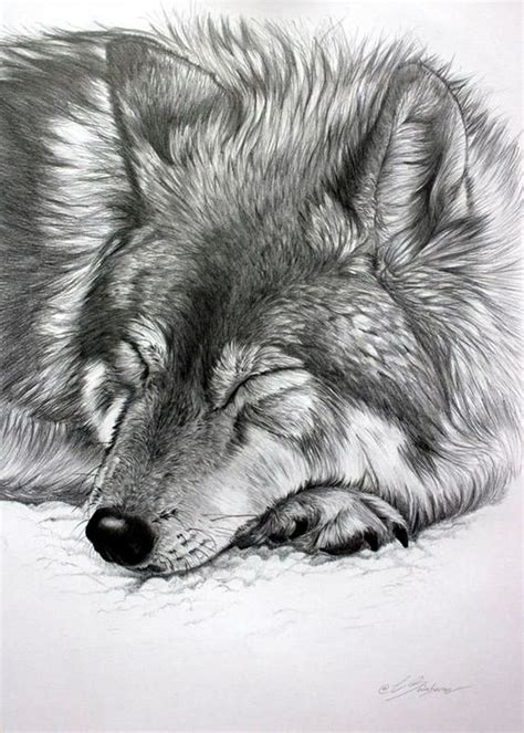 40 Realistic Animal Pencil Drawings - Bored Art | Realistic animal ...