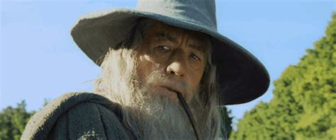 Gandalf Huh GIF - Gandalf Huh Lord of the Rings - Discover & Share GIFs