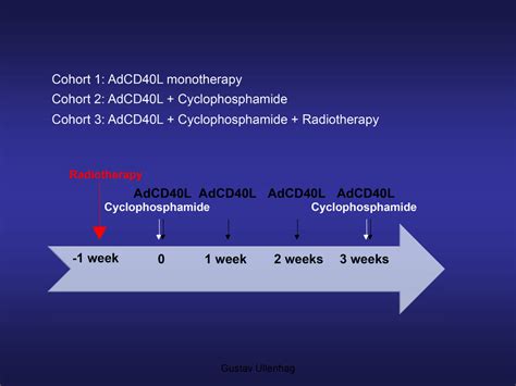 Treatment protocol. Treatment protocol for malignant melanoma patients ...