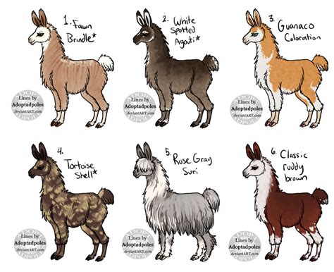 (1/6 OPEN) 20 Points Natural(?) Llamas! by Adoptadpoles on DeviantArt