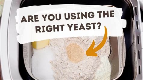 The Best Yeast For Bread Machines - Dry, Fresh Or Rapid-Rise?