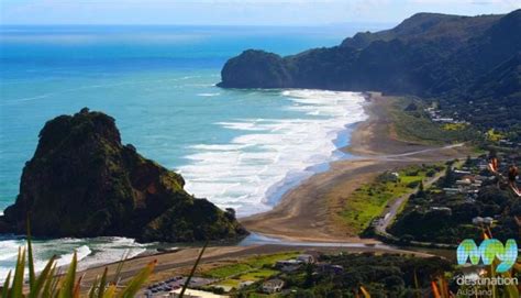 Piha Beach in Auckland