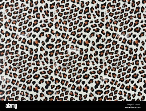 Leopard Spots Background Stock Photo - Alamy