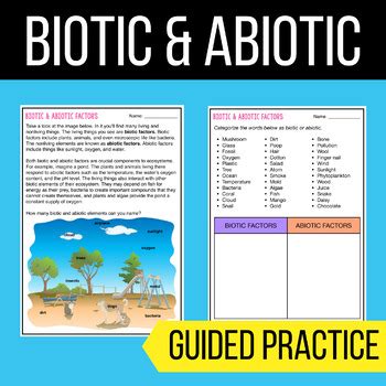 Biotic & Abiotic - Reading Comprehension Worksheets