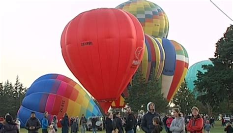 Wairarapa Balloon Festival fires back into life to public's joy | Newshub