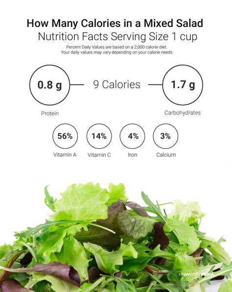 How Many Calories in a Salad - Howmanypedia