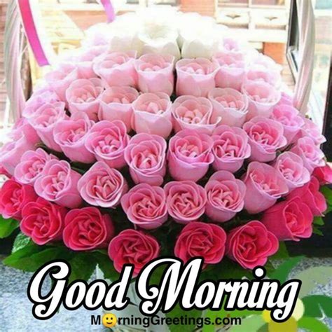 51 Good Morning Wishes With Rose - Morning Greetings – Morning Quotes ...