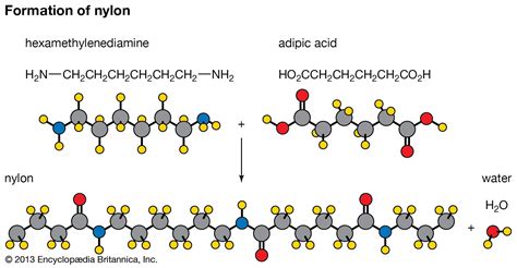 Polymer - Synthetic, Macromolecules, Polymerization | Britannica