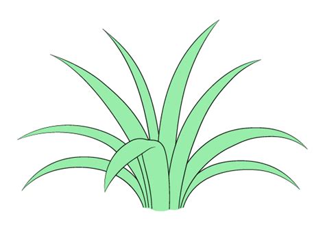 How to Draw Grass Step by Step - EasyLineDrawing