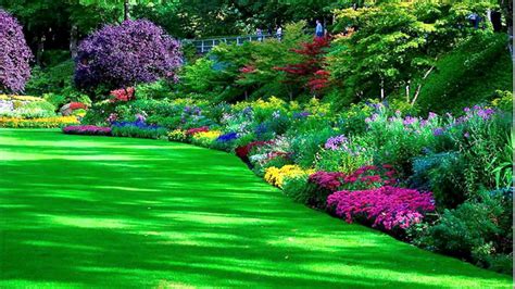 Beautiful Flower Garden HD Wallpaper