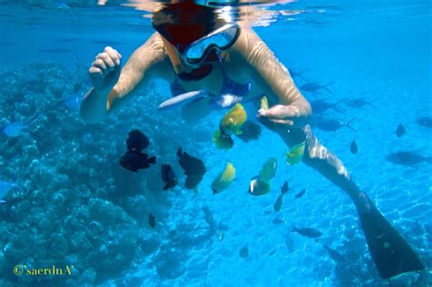 Snorkeling Hanauma Bay - 30 Photos & 15 Reviews - Snorkeling - Honolulu ...