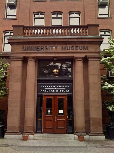 Harvard Museum of Natural History - Practical information, photos and ...