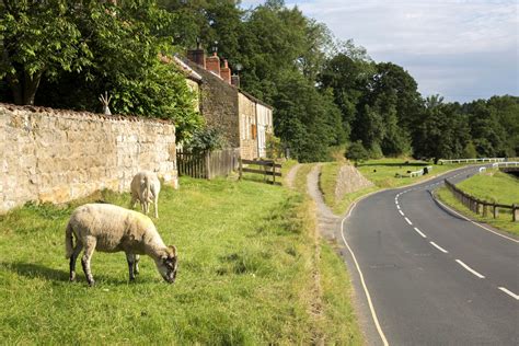 The 7 Best Walks in North York Moors National Park | Wanderlust