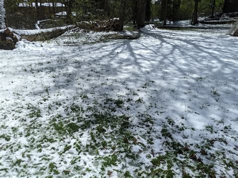 Snow Syracuse NY in April & Mowing Stops – Monster Lawn Care Plus