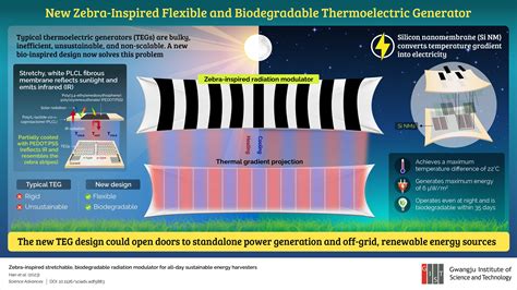 Researchers develop a novel thermoelectric generator inspired by zebra skin