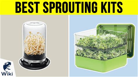 The 8 Best Sprouting Kits | Healthy veggies, Seed sprouter, Growing sprouts