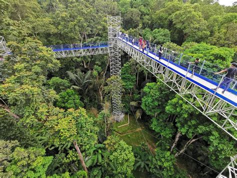 FRIM's Forest Skywalk In KL With Beautiful Panoramic Views Of The City ...