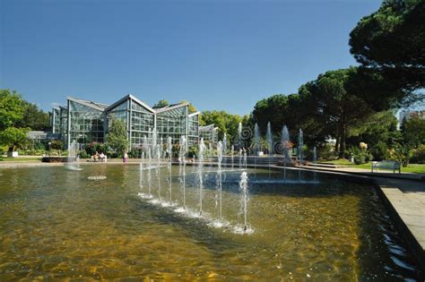 Frankfurt botanical garden stock photo. Image of vegetation - 21490588