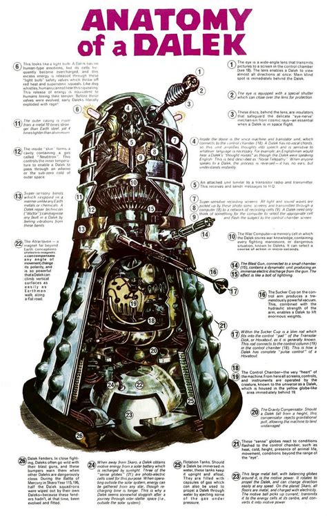 The Translation Circuit: Dalek Psycholinguistics