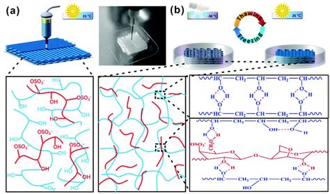 Hydrogel printing and post-treatment diagram and internal structure ...