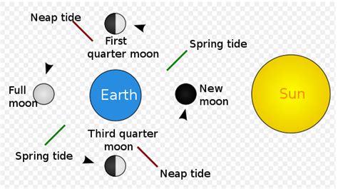 Ocean Tides Diagram