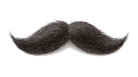 Mustache clipart man hair, Mustache man hair Transparent FREE for ...