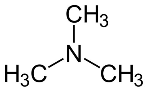 What is the Difference Between Dimethylamine and Trimethylamine ...