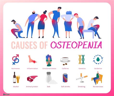 OSTEOPENIA - Symptoms, Causes, Risk Groups, Prevention and Treatment ...