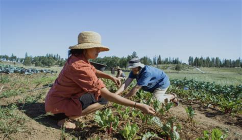 About Us | WWOOF USA