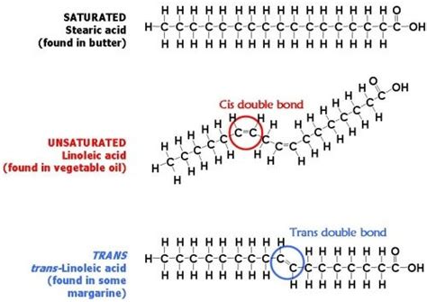 organic chemistry - What makes trans fats more harmful than saturated ...