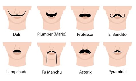 16 Moustache Styles and Names (Chart and Illustrations)