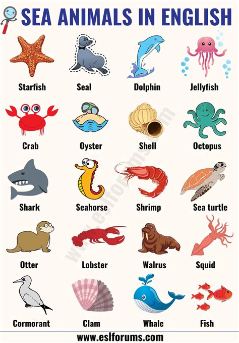 Sea Animals List A-z