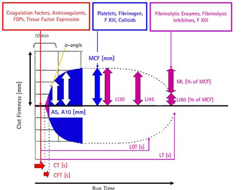 ROTEM ® parameters and indices. A5: clot firmness amplitude 5 min after ...