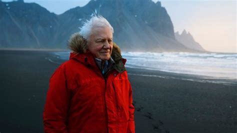 Life In Colour: David Attenborough to present BBC and Netflix ...