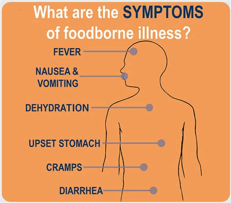 Food Poisoning Symptoms And Pregnancy