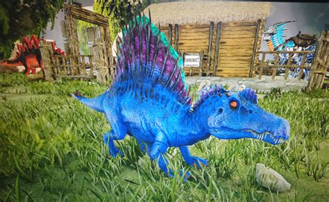 New spino with a few colour mutations. Same ark I did the painting on ...