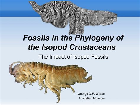 (PDF) Fossils In the phylogeny of Isopod crustaceans (Arthropoda)