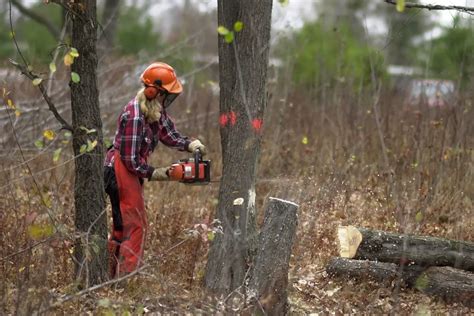 Chainsaw Chaps – Do They Work? – SelectSafety.net