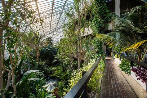 Barbican conservatory starts weekday openings