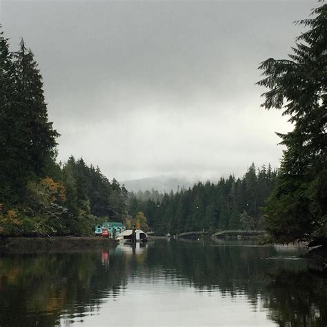 Exploring the beach at Bamfield Marine Sciences Centre #bamfield # ...