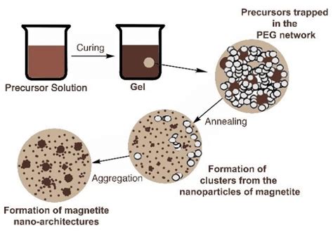 Schematic illustration showing possible formation mechanism of as ...