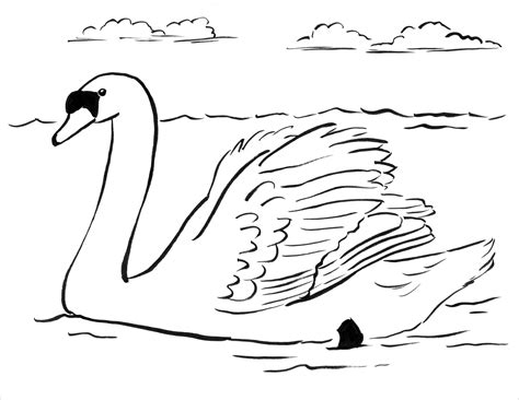 Swan Coloring Pages - ColoringBay