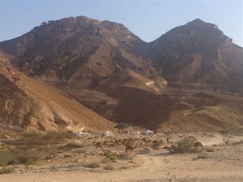 Secrets of Yemen’s eastern deserts – OxPol