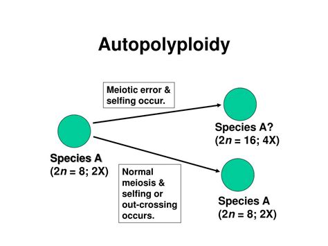 PPT - Plant Speciation – Part 2 PowerPoint Presentation, free download ...