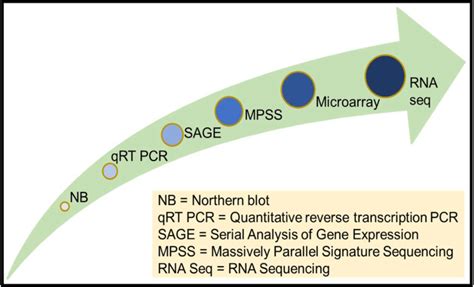 Development in techniques of gene expression analysis from few targeted ...