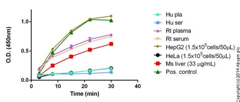 Glutamate Dehydrogenase Activity Assay Kit (ab102527) | Abcam